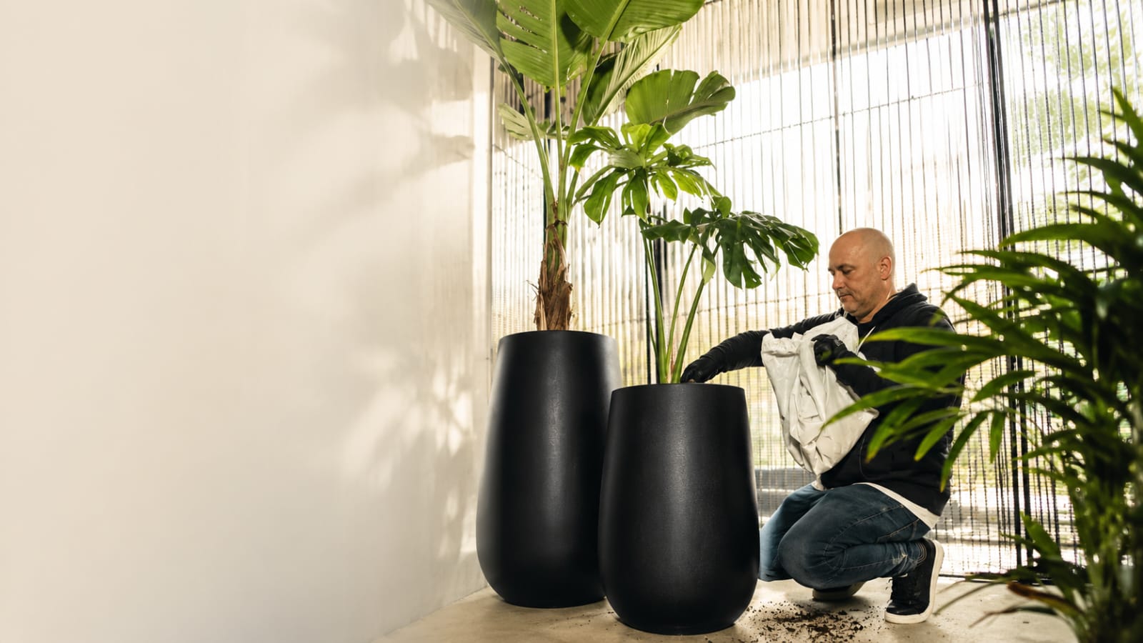 Macetas y plantas para casas, edificios, empresas, etc.