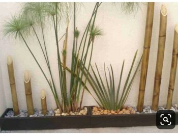 Jardinera