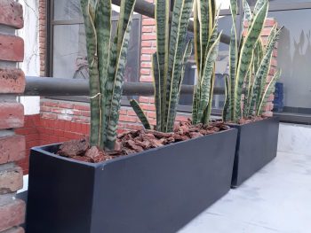 JARDINERA PINTADA