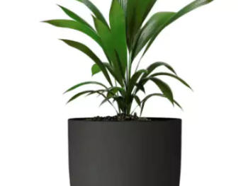 MACETA DE PLASTICO COPA 55cm (55 alto x 47 Ø x 28 boca)