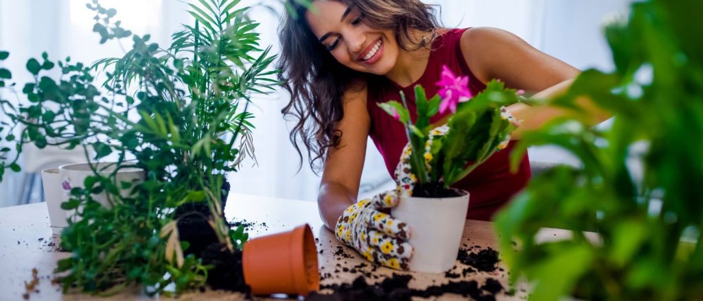 En L&L Macetas, tenemos todo lo que necesitas para darle vida a tus espacios: plantas de interior, plantas de exterior, macetas de diseño para resaltar cada tipo de plantas, tierra fertil y fertilizantes.