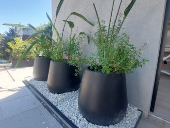 Maceta Misionera · Rotomoldeada